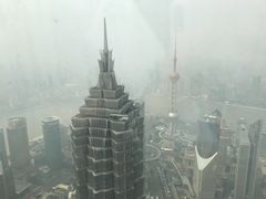 -上海柏悦酒店·世纪100牛排馆