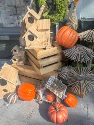 -Bonpoint(比斯特上海购物村店)