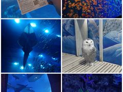 -成都浩海立方海洋公园