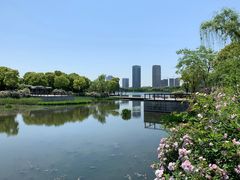 -尚贤河湿地