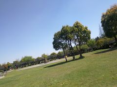 -崇明东平国家森林公园烧烤房车露营地