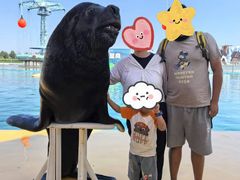 -秦皇岛乐岛海洋王国