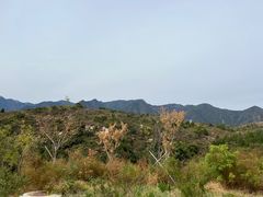 -白水寺森林公园