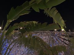-天空花园餐吧·生日·团建(南山店)