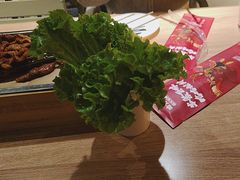 -哈力家·西北烧烤烤串(凤城十路店)