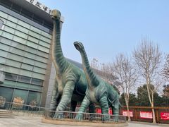 -河南自然博物馆