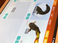 -都江堰石锅鱼