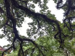 -桂林独秀峰王城景区