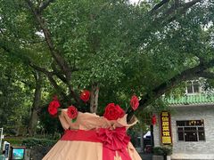 -罗浮山葛仙居菜馆