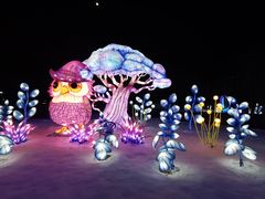 -沈阳奥体冰雪嘉年华