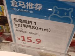 -盒马鲜生(大成店)