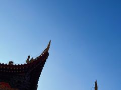 -东莞市大岭山森林公园