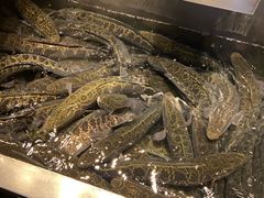 -周渝食惦酸菜鱼(青浦店)