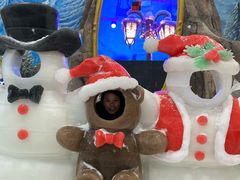 -世界之窗阿尔卑斯冰雪世界