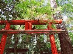 -野宫神社