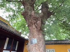 -虞山风景区