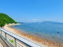 -鹿嘴山庄