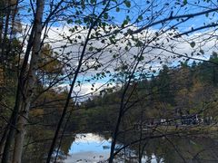 -汤旺河林海奇石景区