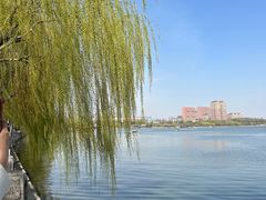 -济南大明湖景区