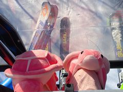 -亚布力新体委滑雪场