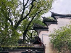 -天一阁博物院