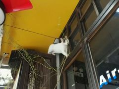 -山色西餐·柴火烤披萨