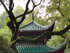 -岳麓山风景名胜区