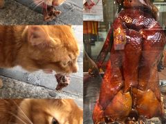 -黄连大头华烧鹅店(大良店)