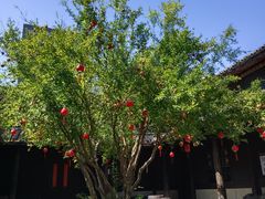 -鄞州雪菜博物馆