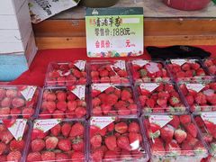 -全而廉(靖宇中路店)