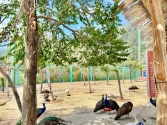 -水上乐园·欢乐世界