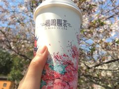西江雪·金研奶盖-鸡鸣赐茶(鸡鸣寺路店)