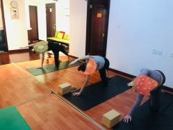 -Yvon yoga 瑜伽·精准体态管理中心