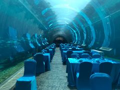 -海棠湾洲际-涛·海底餐厅·美人鱼·自助餐·海底隧道
