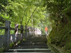 -雁荡山大龙湫景区