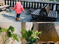 -J Create城市露营咖啡·简餐·宠物(上海动物园店)