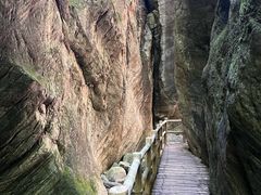 -牛背梁国家森林公园
