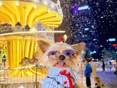 -东莞松山湖万象汇