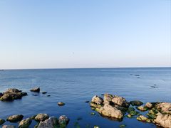 -养马岛旅游度假区