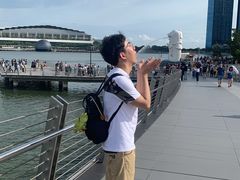-鱼尾狮公园