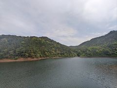 -广州市石门国家森林公园