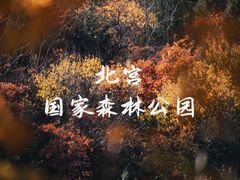 -北宫国家森林公园