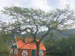 -南沙蒲洲花园