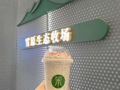-茉酸奶(春熙路店)