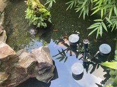 -水岸居湖景农家乐·阳澄湖大闸蟹