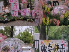 -上海共青森林公园