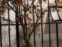 -嗨寿司 无国界料理