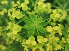 -陈李济中药博物馆