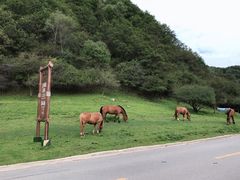 -大水川景区