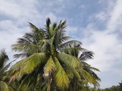 -白沙门生态公园